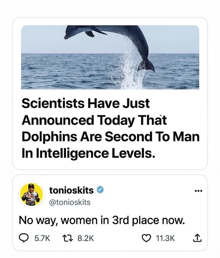 Crows are smarter than I am - meme
