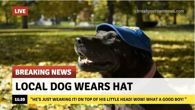 Nice hat doggo - meme