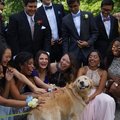 Smiling dog at prom