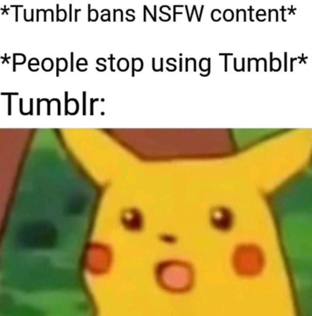 Tumblr bans NSFW content - meme
