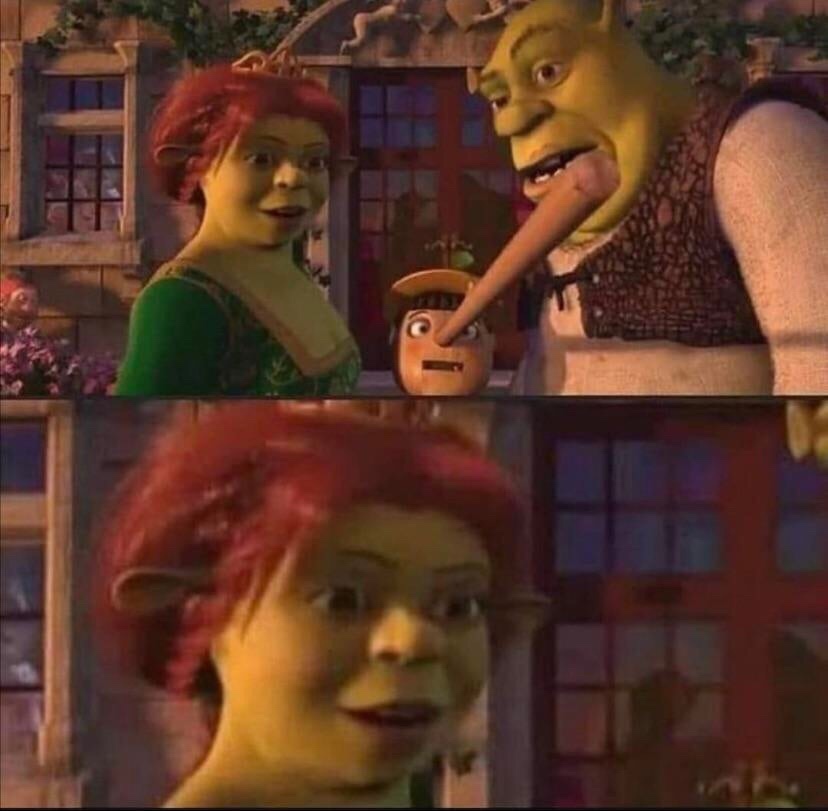 X MEMES on X: Shrek triste porque a Fiona prefere um homem maduro e ele  ainda é verde :(  / X