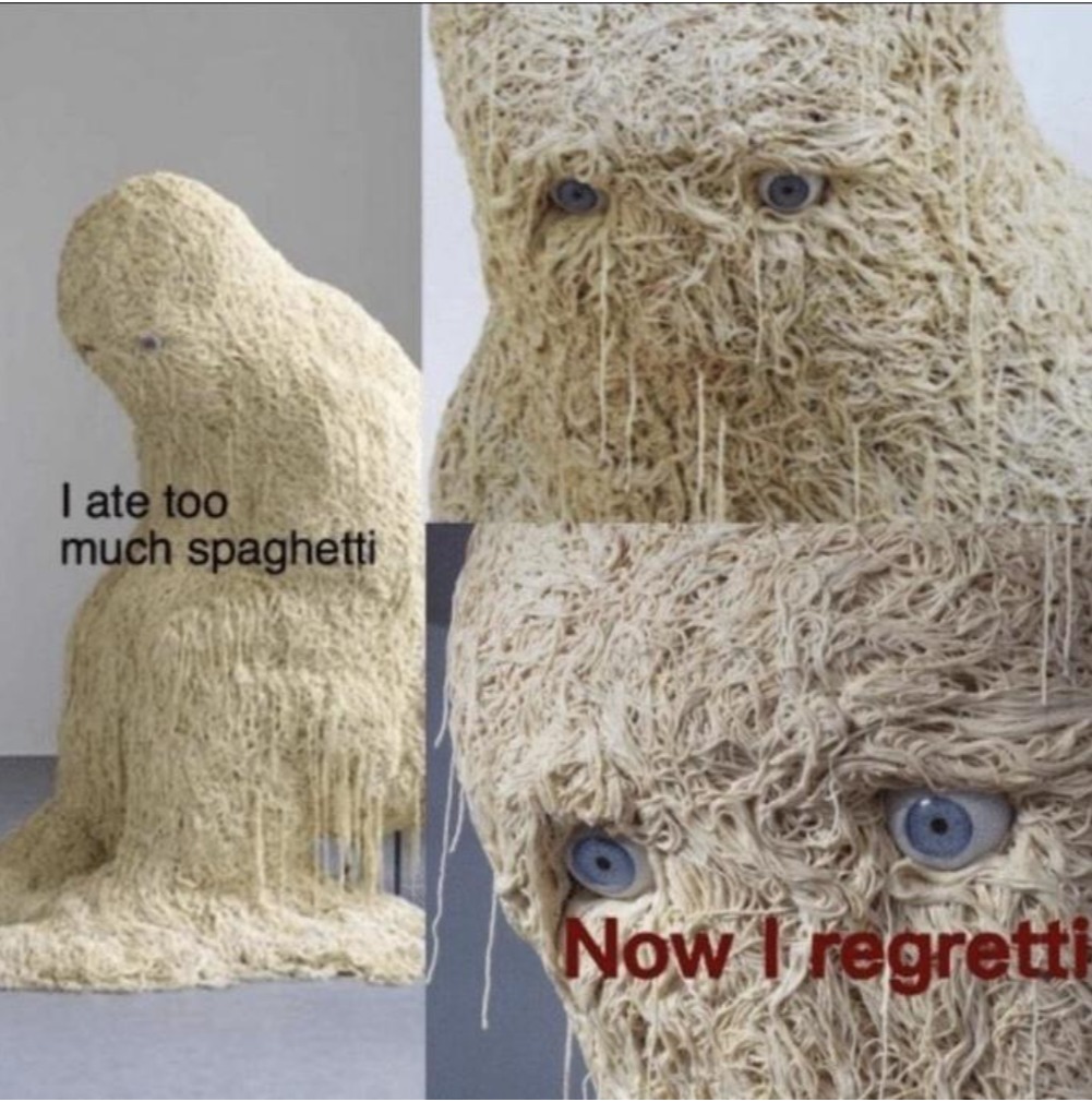 Please... No more spaghetti... - meme
