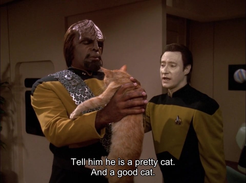 Spot, the interstellar cat - meme