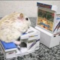 Ratón gamer 60 fps