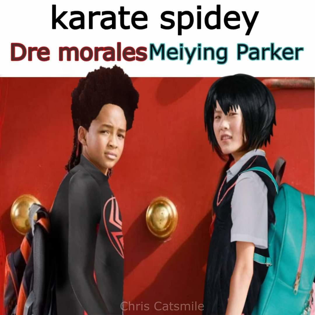 Karate Spidey - meme