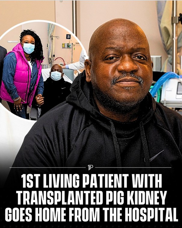 Rick Slayman, the recipient of the world’s first genetically edited pig kidney transplant - meme