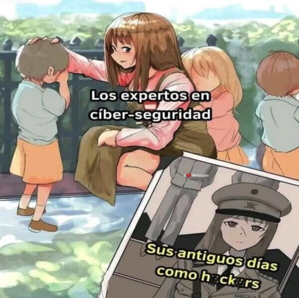 Los expertos en ciberseguridad de la actualidad - meme