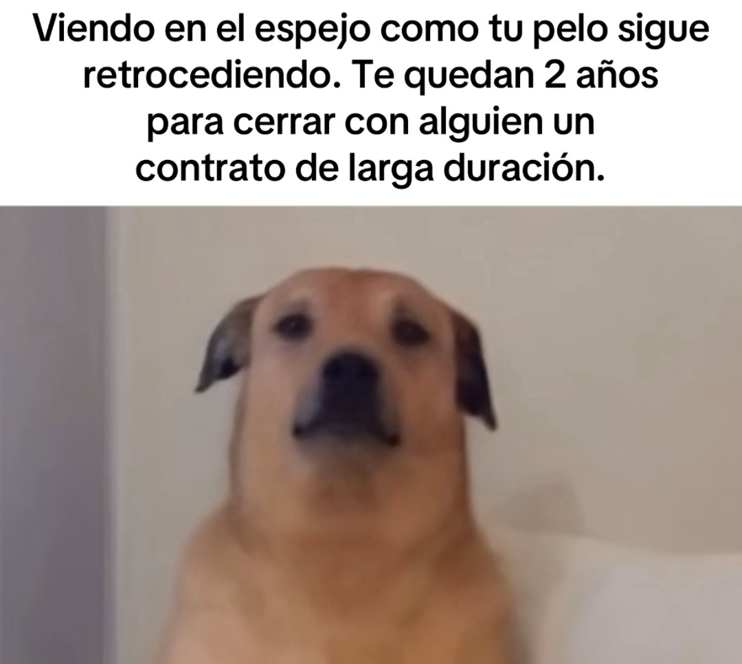 Ese momento cuando tu pelo te da ultimátum en el espejo - meme