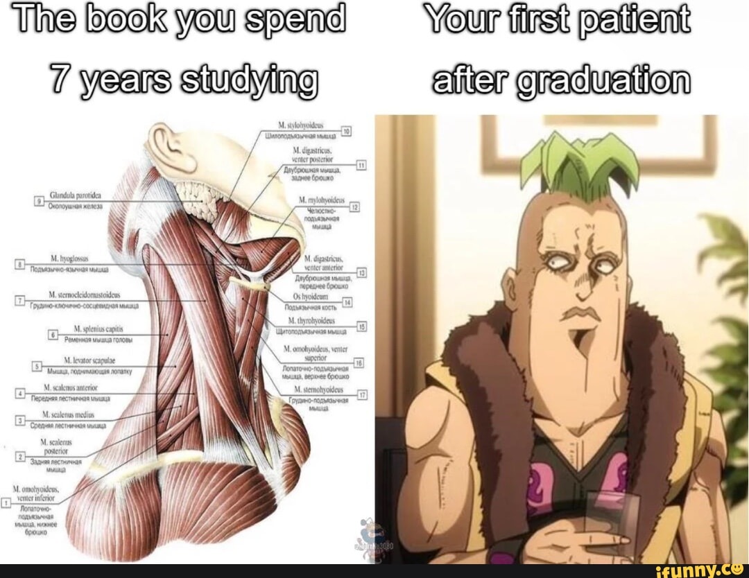 Graduated just to read chaos manuals for life - meme