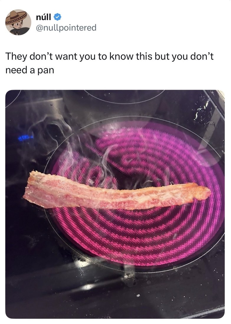 They don’t want you to know this but you can cook without a pan - meme
