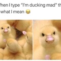 I’m ducking mad