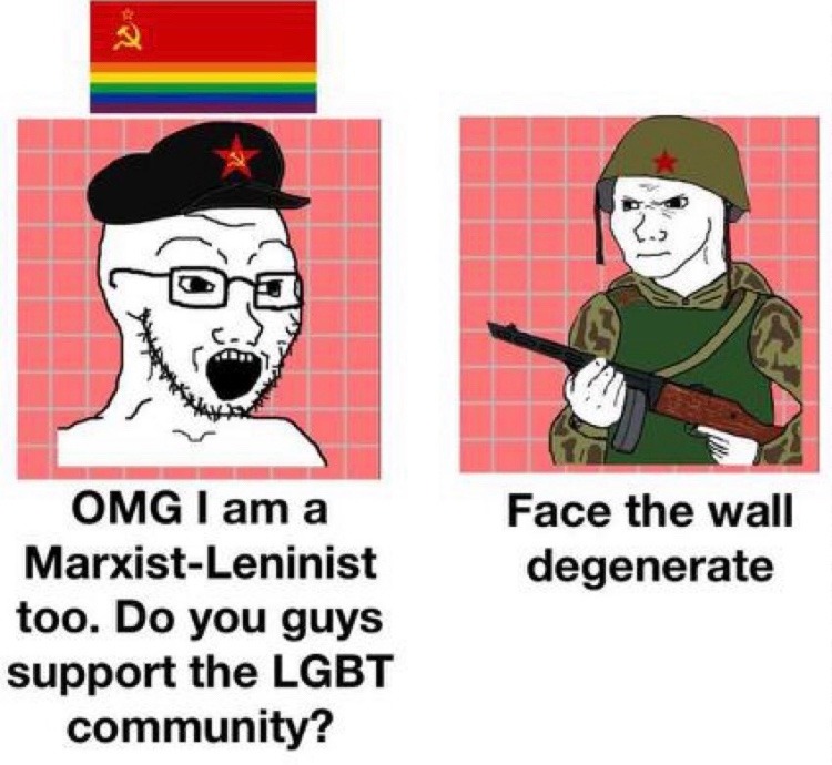 Leftists, A Very “Special” Kind Of Fuckin’ Stupid - meme