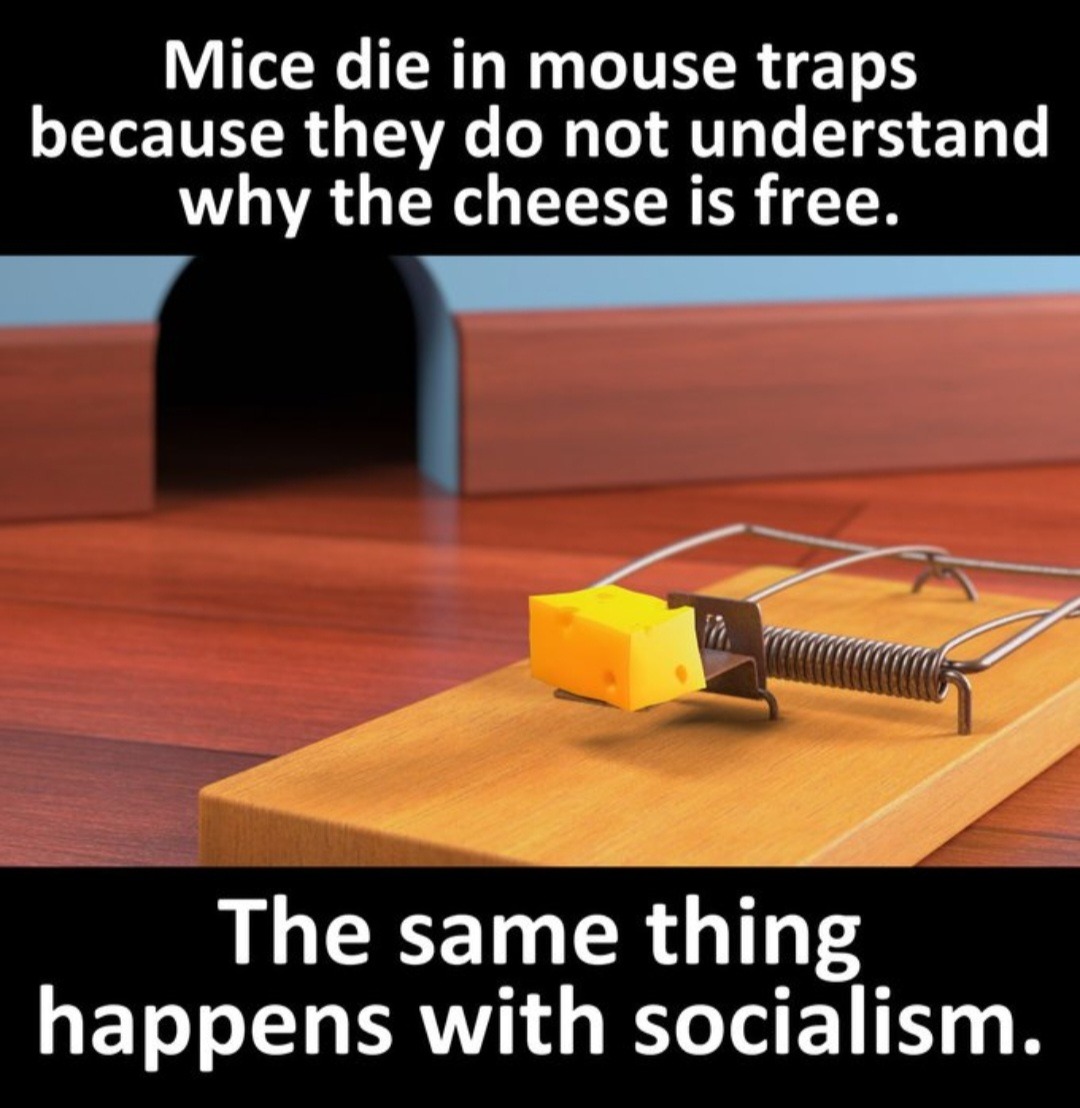 Socialism Kills - meme