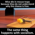 Socialism Kills