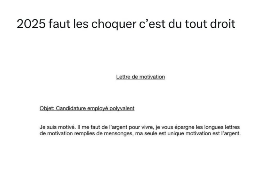 Lettre de motivation version 2025 : j’veux juste du cash - meme