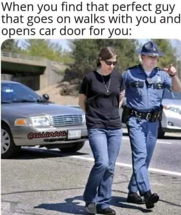 Guy who goes on walks with you and opens car doors for you - meme