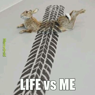 Life vs Me - meme