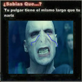Voldemort esta triste