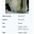 Worlds oldest cat