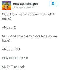 God Naming animals - meme