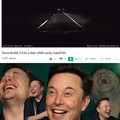 Elon hates deers