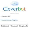 Remember when cleverbot was relevant?
