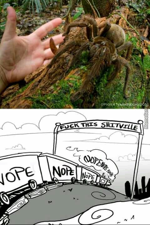 Spiders can go to hell - meme