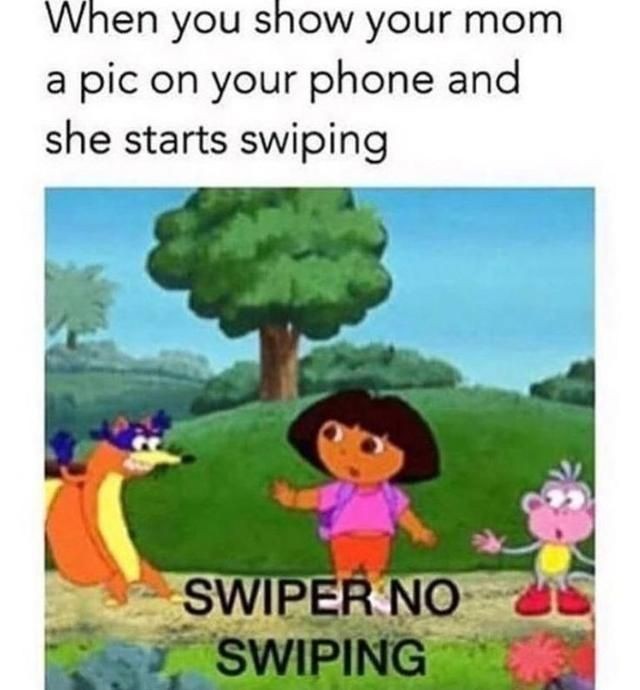 Swiper no swiping! - meme