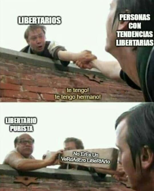Libertarios - meme
