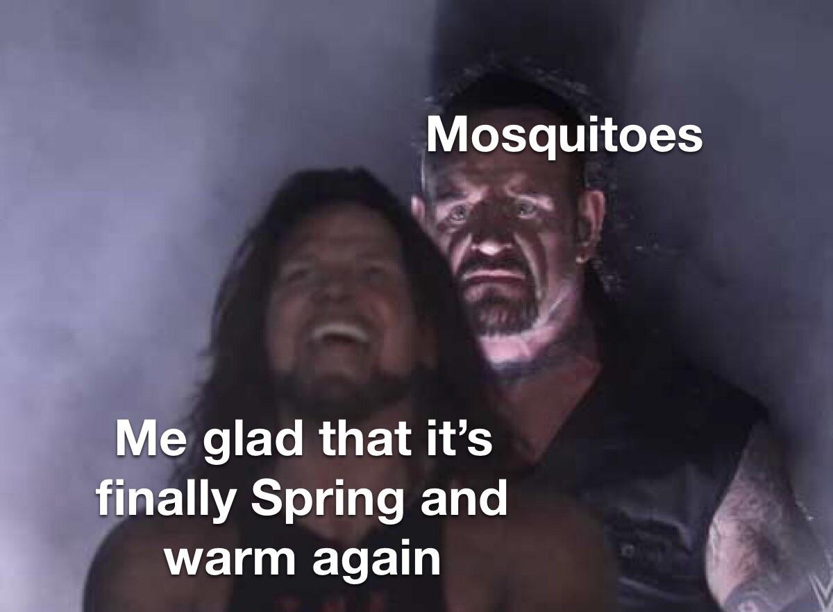 member when people were worried mosquitos would pass corona to people - meme