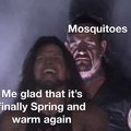 member when people were worried mosquitos would pass corona to people