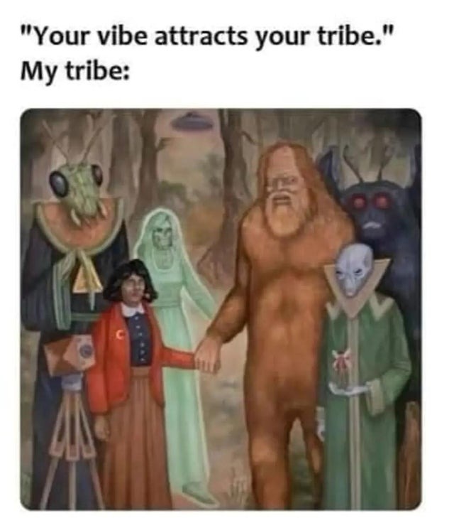 Your vibe attracts your tribe - meme
