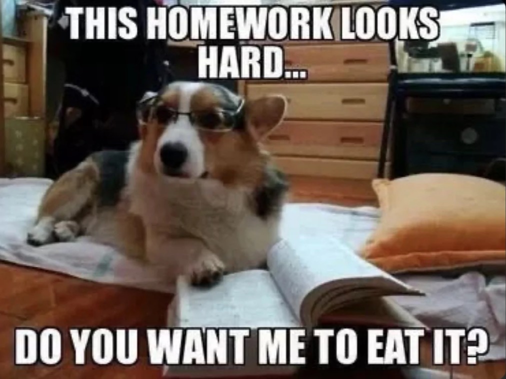 me asking my do to eat my homework - meme
