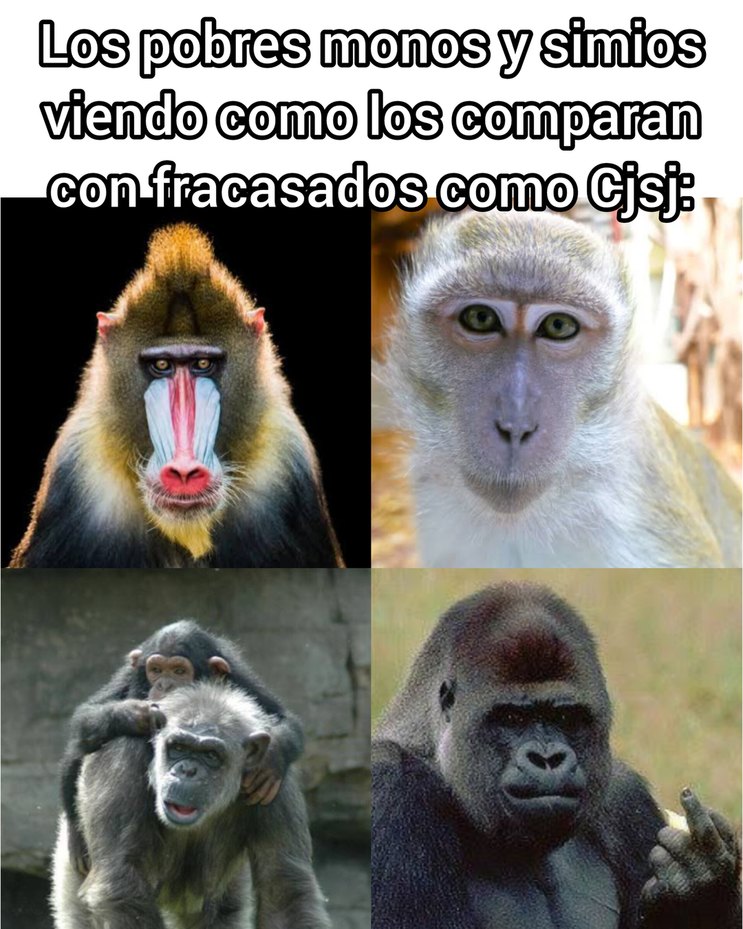 Pobres primates, compararlos con un puto fracasado es un insulto para ellos :sadtroll: - meme