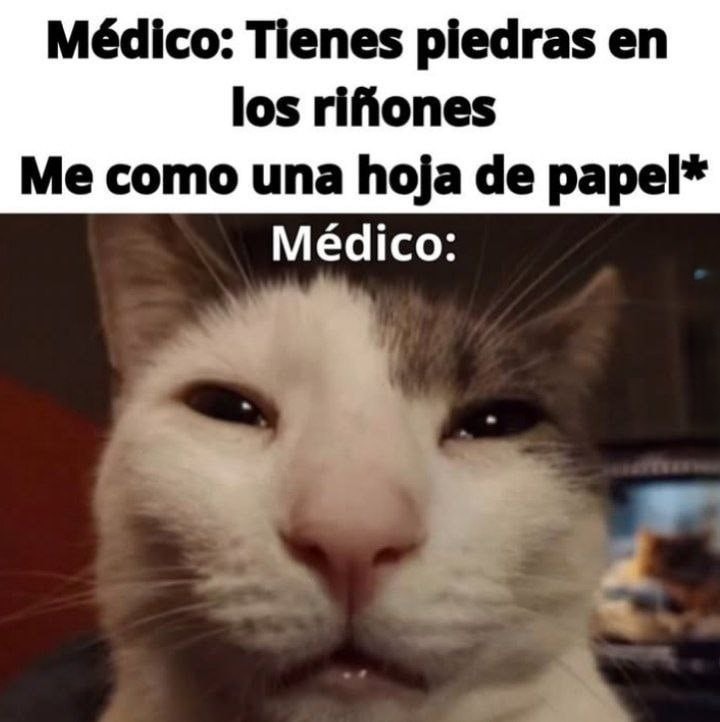 Doctor: tienes piedras. Yo: me como una hoja. Doctor: - meme