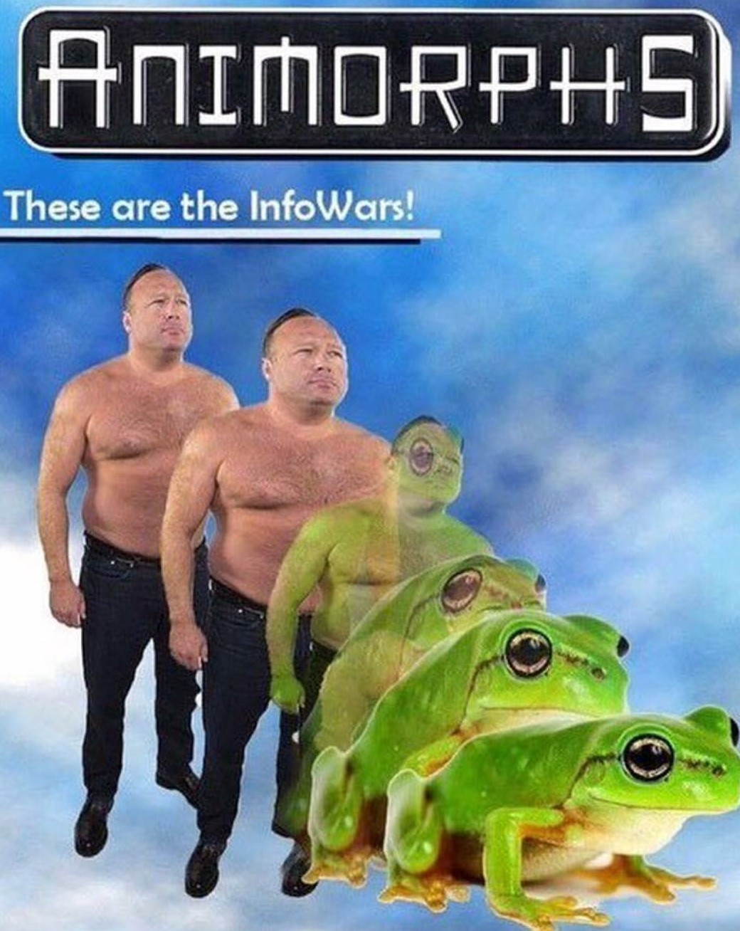 Infofrogs - meme