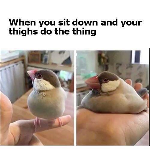 When you sit down and your thighs do the thing - meme