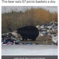 It is Yogi the Bear