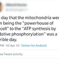 The Mitochondria isn't the powerhouse of the cell, I am!