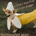 Banana dog