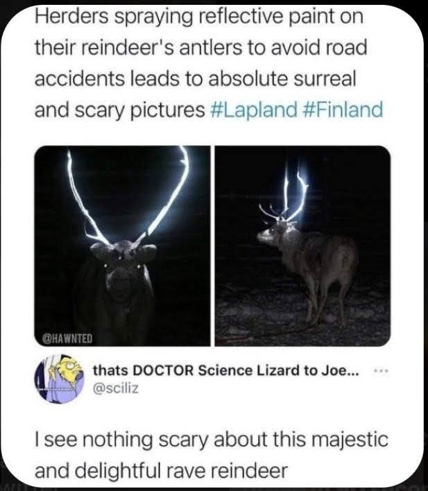 Rave Reindeer!! - meme