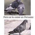 El amor del Perú