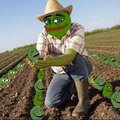 Illegal European meme farmer