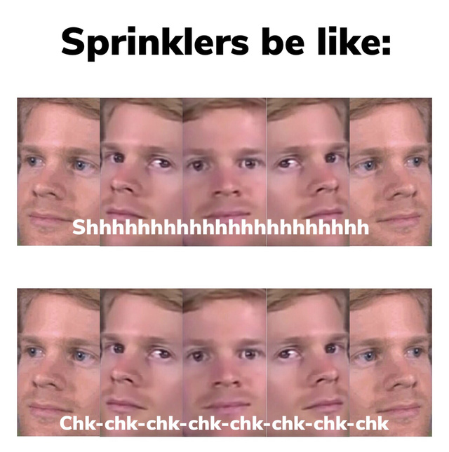 Sprinklers be like - meme