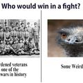 Emu War