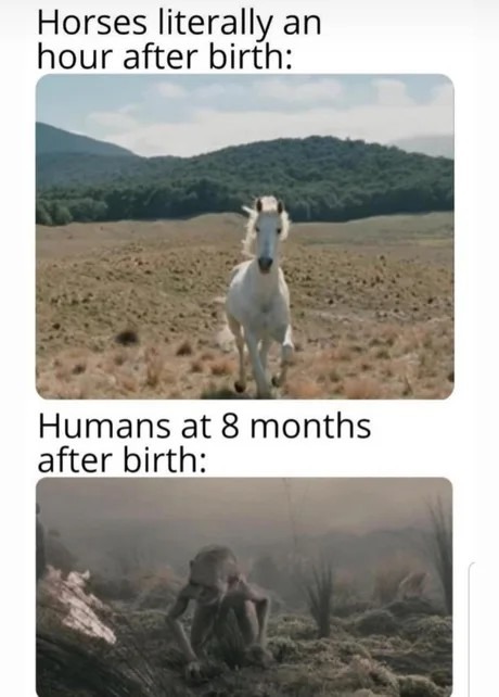Horses vs Humans: evolution ain't fair - meme