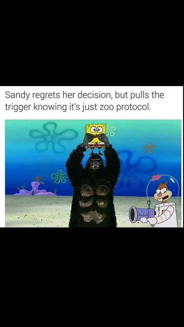 No Sandy don't do it! - meme