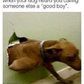 Calling other dog s good boy
