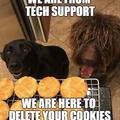 The dogs from tech support