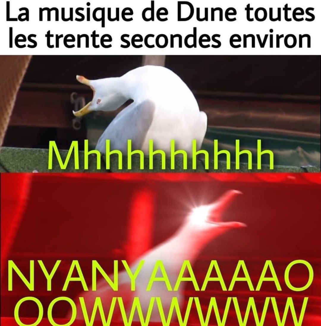 Oui - meme